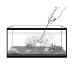 Algae Scraper, 26″ / 66 cm - Image 2