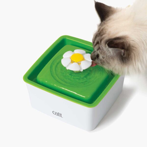 Catit Mini Flower Fountain for Cats – Fresh Flowing Water