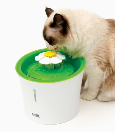 Cat Fountain