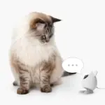 PIXI Smart Mouse Camera - Image 2