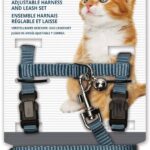 Adjustable Harness & Leash Set for Cat