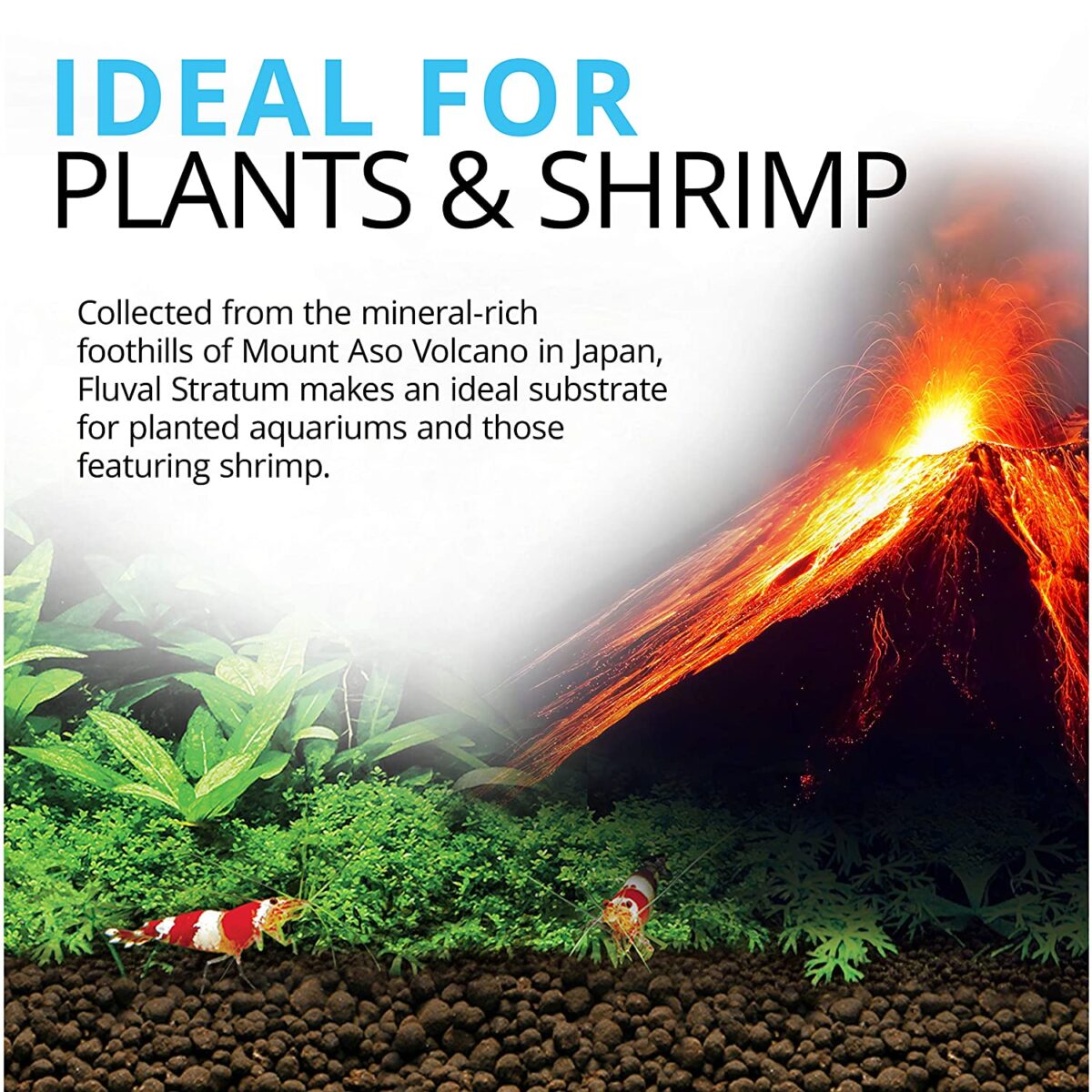 Plant and Shrimp Stratum Soil, 8.8 lb (4 kg) - Image 2