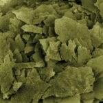 Bug Bites Spirulina Flakes, 18 g (0.63 oz) - Image 3