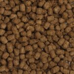 Fluval Bug Bites Goldfish Formula - Medium to Large - 5-7 mm pellets - 100 g - Image 2