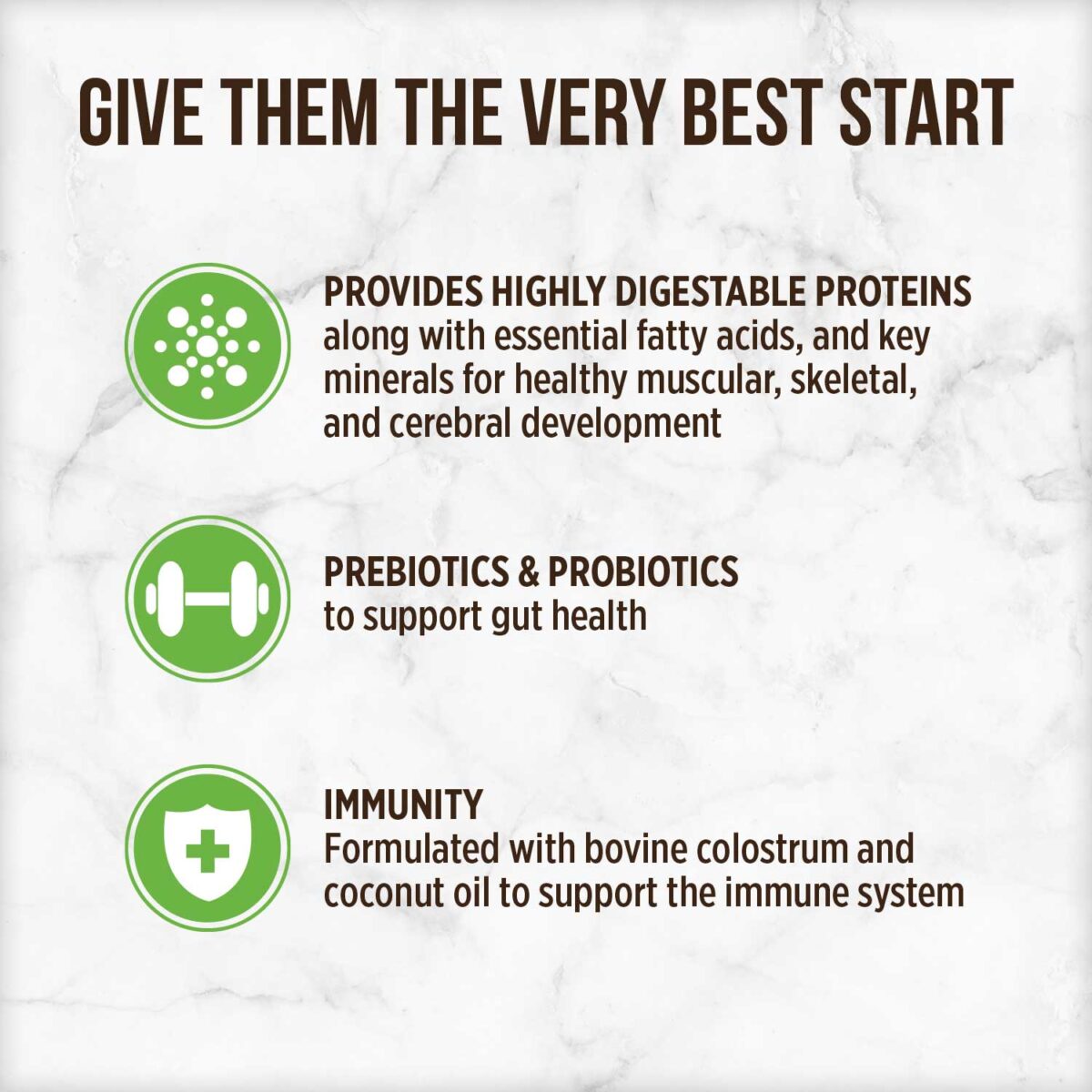 Nutrience Kitten Milk Replacer 340g - Image 3