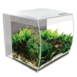 Fluval Flex Aquarium Kit - 34 L (9 US gal) - White - Image 3