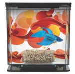 Marina Betta Kit, Sun Swirl - Image 5