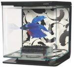 Marina Betta Kit, Ying/Yang - Image 4