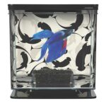 Marina Betta Kit, Ying/Yang - Image 5