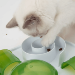 Catit Senses Play Treat Puzzle - Image 3