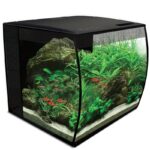 Flex Aquarium Kit, 9 US Gal / 34 L - Image 3