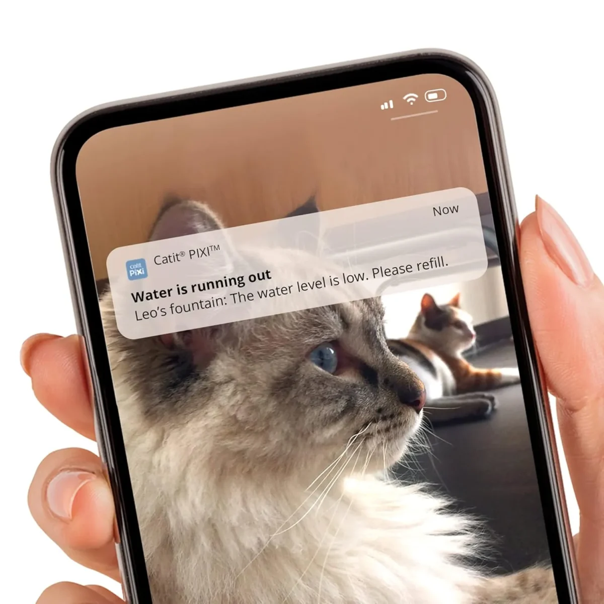 Catit PIXI Smart Water Fountain - Image 4