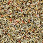 Gourmet Parakeet Seed Mix 1kg - Image 4