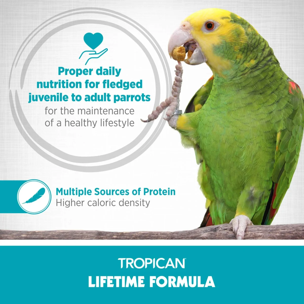 Hagen Tropican Lifetime Formula 2 mm Granule cockatiel 820g - Image 4