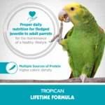 Hagen Tropican Lifetime Formula 2 mm Granule cockatiel 820g - Image 4