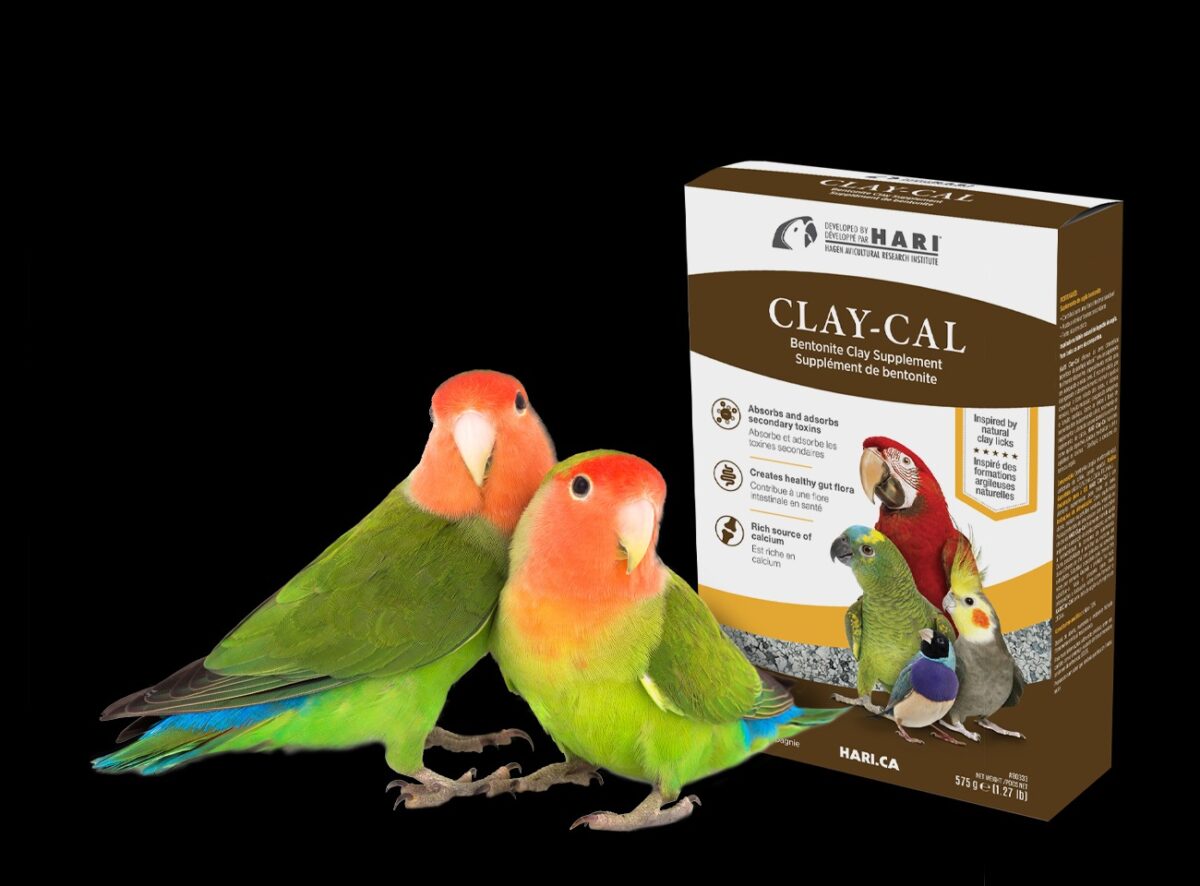 HARI Clay-Cal Bentonite Clay Supplement for Birds - 575 g (1.27 lb) - Image 5