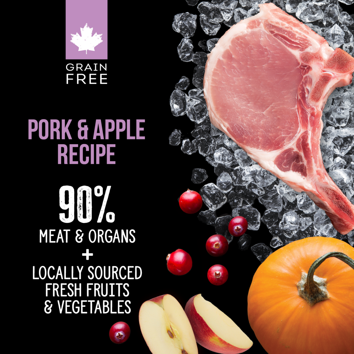 Nutrience Subzero Complete & Balanced Freeze-dried Dog Food - Pork & Apple 113g - Image 2