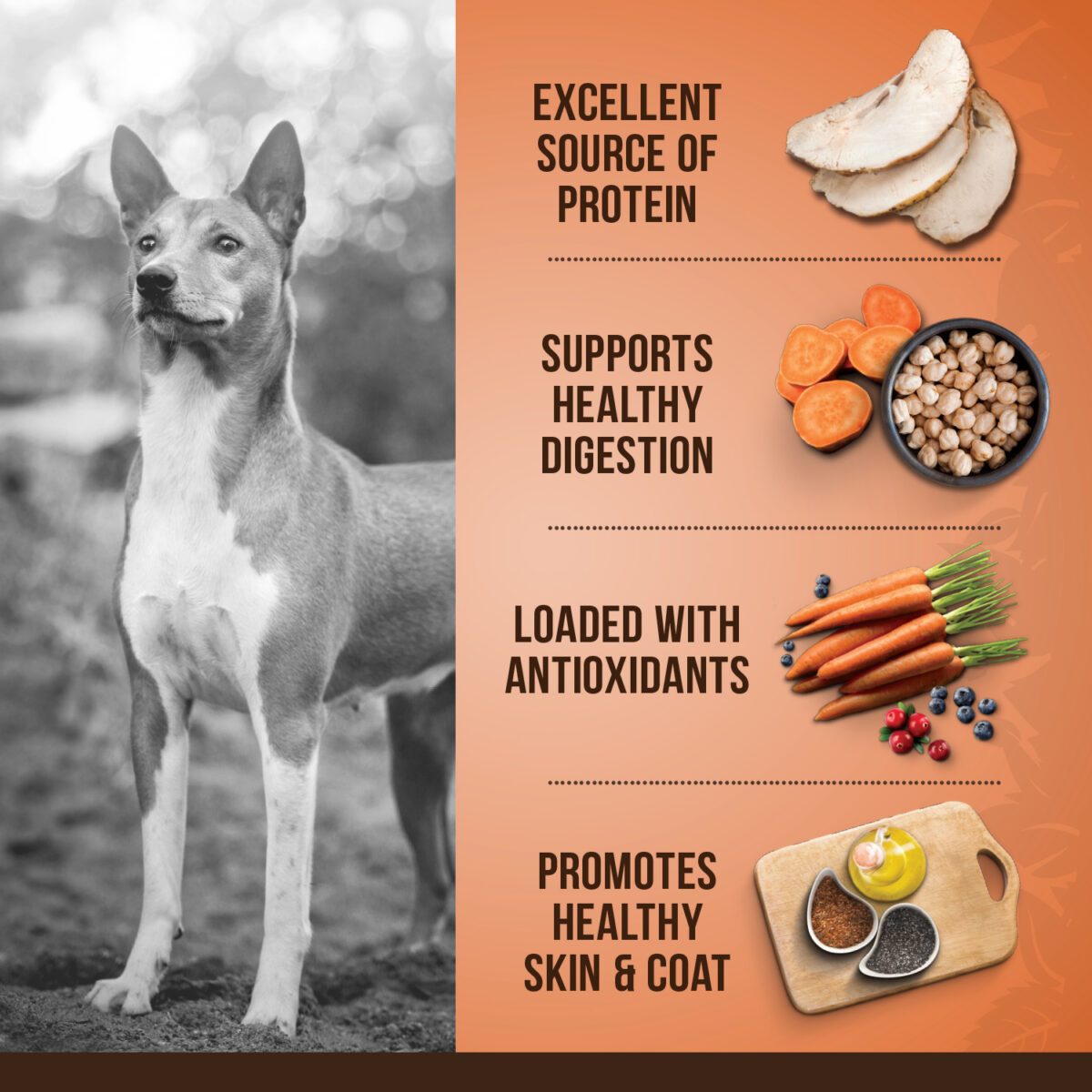 Turkey, Chickpea & Sweet Potato 5Kg - Image 3