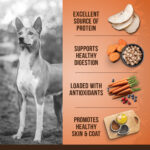 Turkey, Chickpea & Sweet Potato 5Kg - Image 3