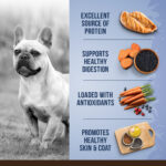 Chicken, Quinoa & Black Bean | Small Breed Dog Food | 2Kg - Image 3