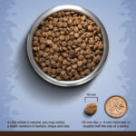 Chicken, Quinoa & Black Bean | Dog Food | 5Kg - Image 4