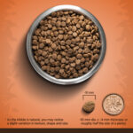 Turkey, Chickpea & Sweet Potato | Small Breed 2Kg - Image 4