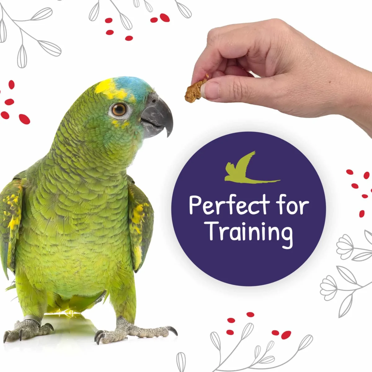 Little Foragers™ – Chili Snaps Oven Baked Parrot Treats 125 g 0.28 lb - Image 4