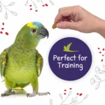 Little Foragers™ – Chili Snaps Oven Baked Parrot Treats 125 g 0.28 lb - Image 4