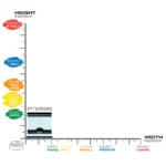 Natural Terrarium Nano Wide 8"WX8"Dx8"H - Image 2