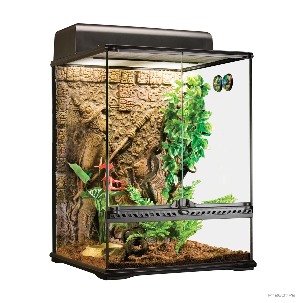 Natural Terrarium Small Tall 1.5"WX1.5"Dx2"H Door 6" High - Image 3