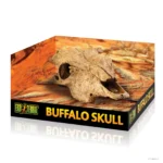 Buffalo Skull - Image 2