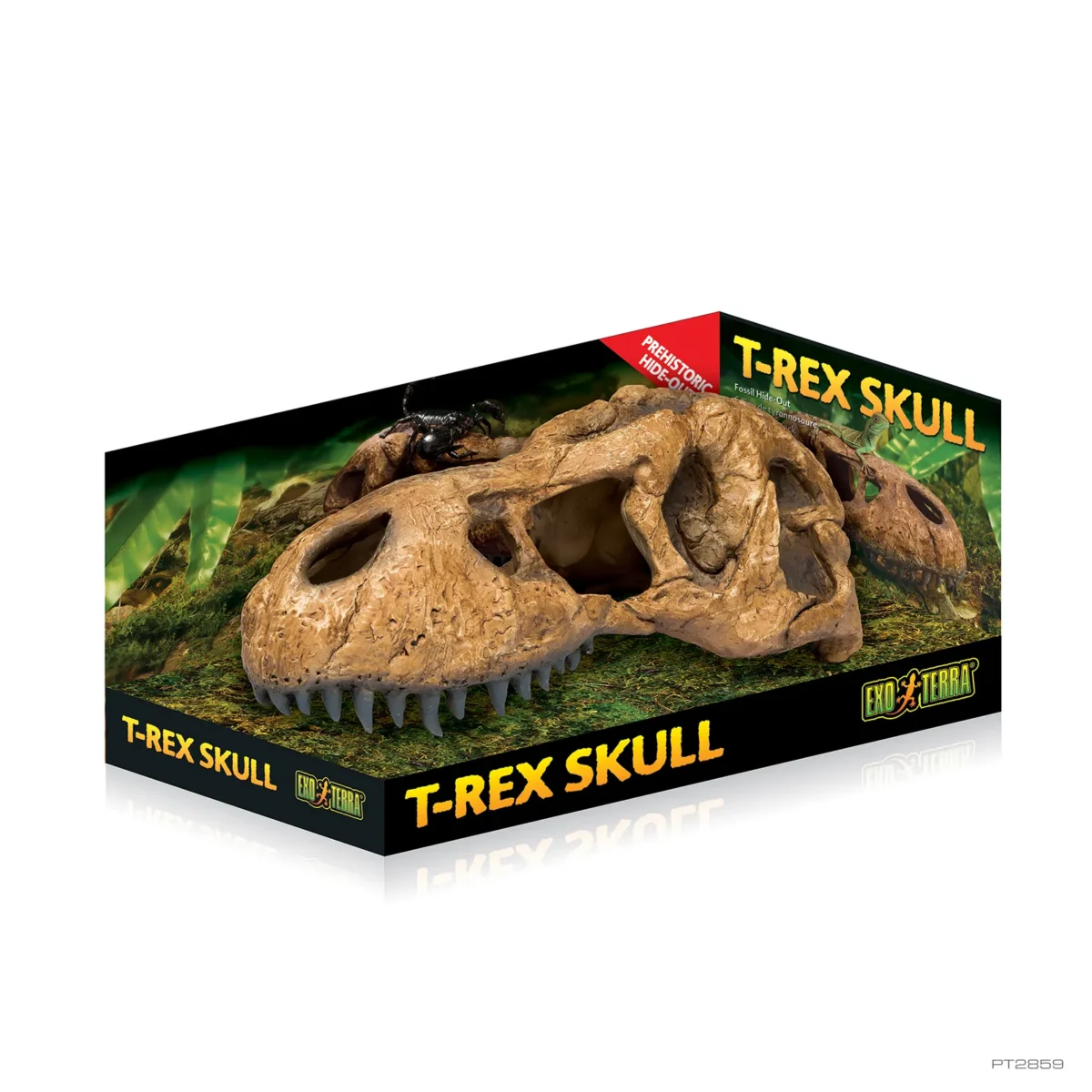 T-Rex Skull - Image 2