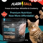 Cat Food Offer