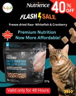 Cat Food Offer