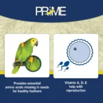 Prime Vitamin Supplement 30g (1.1 oz) - Image 5