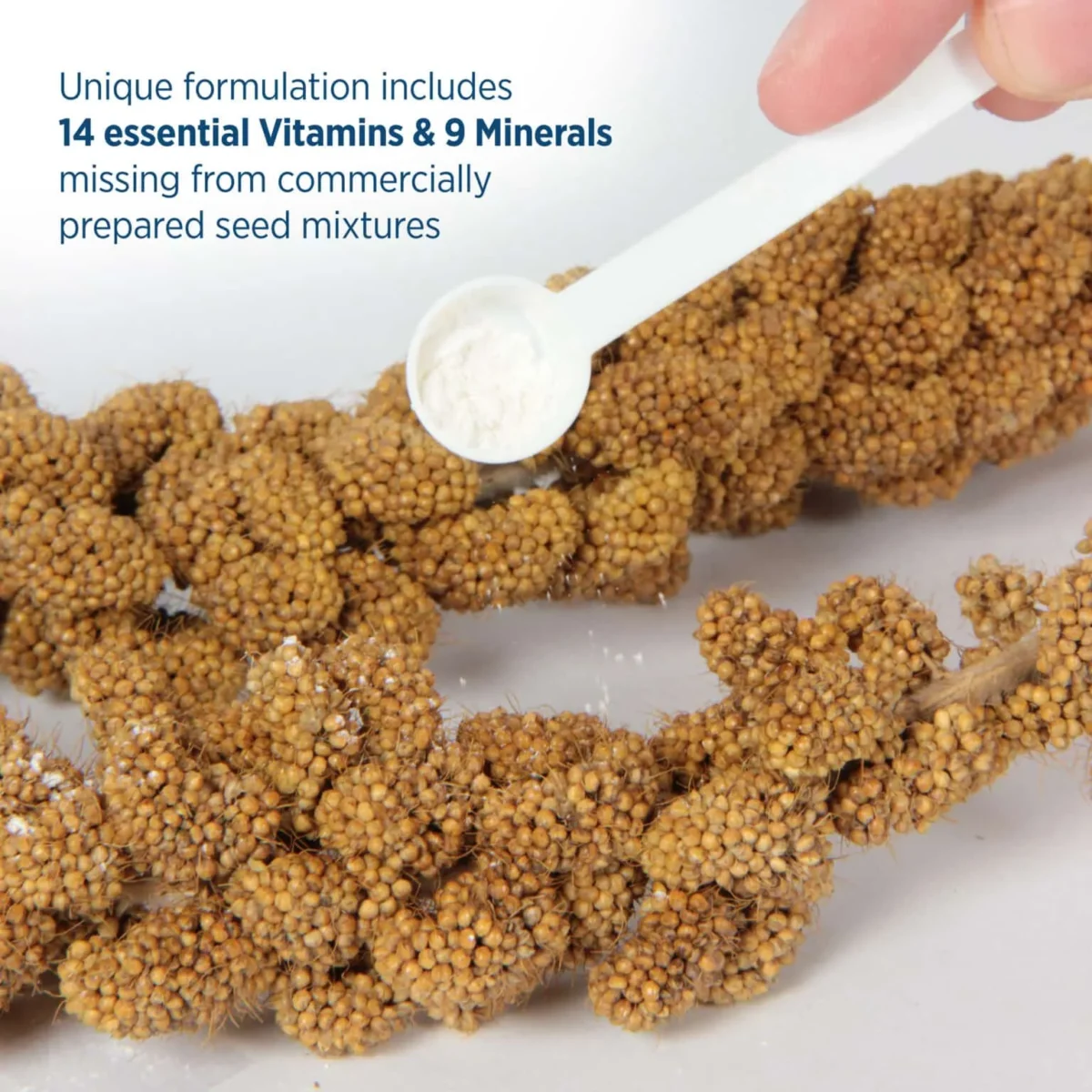 Prime Vitamin Supplement 30g (1.1 oz) - Image 7