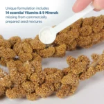 Prime Vitamin Supplement 30g (1.1 oz) - Image 7