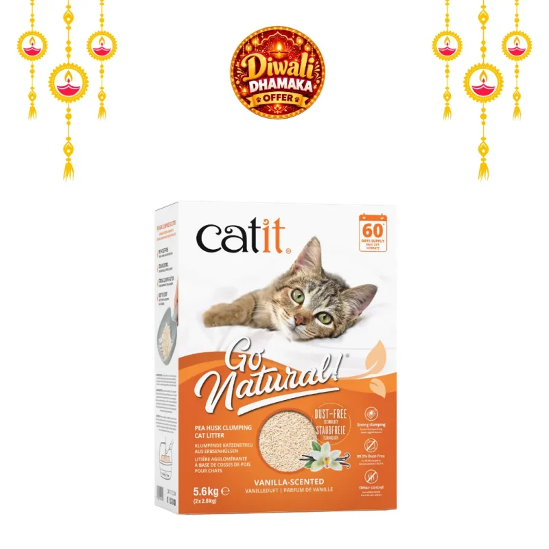 cat litter