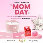 Mother's day special Offer on Catit pixi fountain