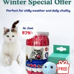 Best Treats for Cats