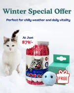 Best Treats for Cats