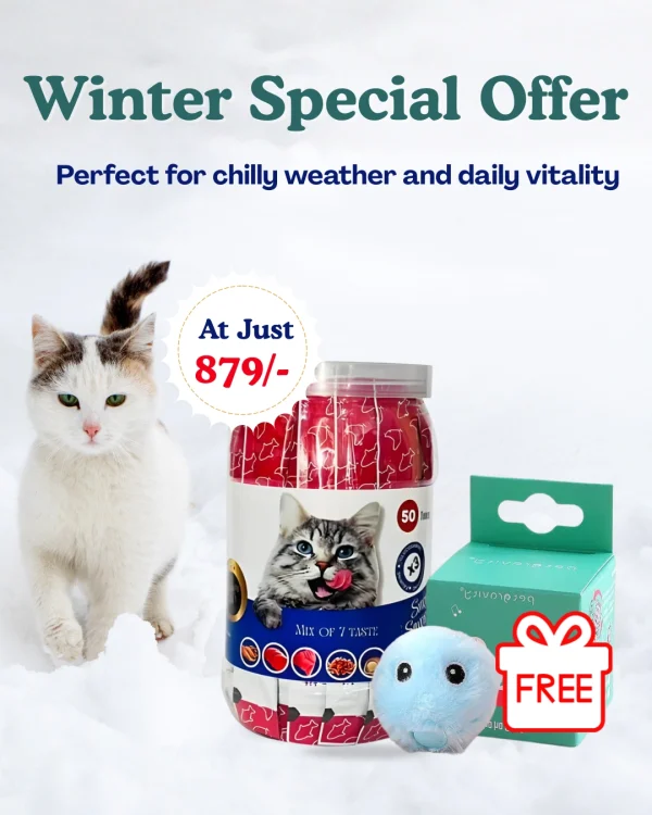 Best Treats for Cats