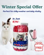 Best treats and toys for cats- 50 treat Value Pack with Cat toys - Image 3