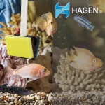 Hagen Deluxe Aquarium Scraper 11019