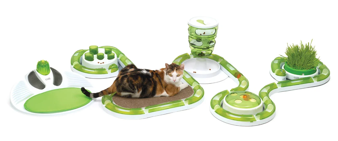 Catit play ground