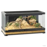 Reptile Enclosure