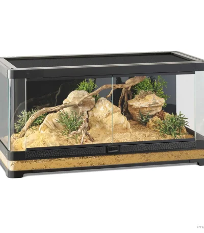 Reptile Enclosure