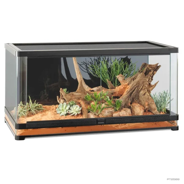 glass aquarium