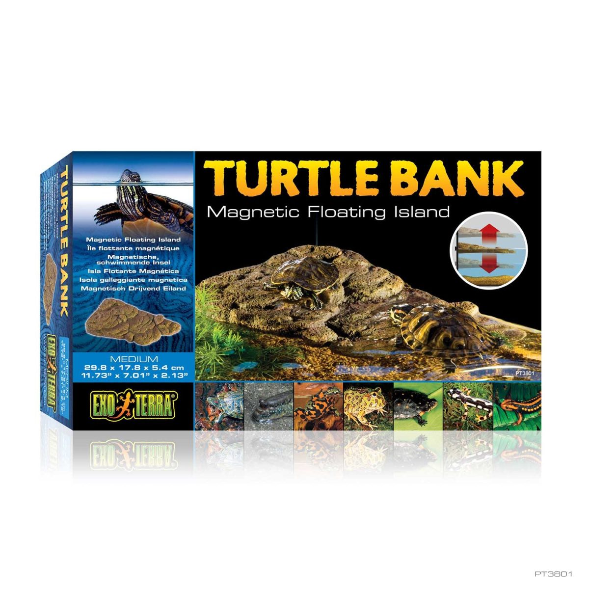 Turtle Bank Medium - Image 3