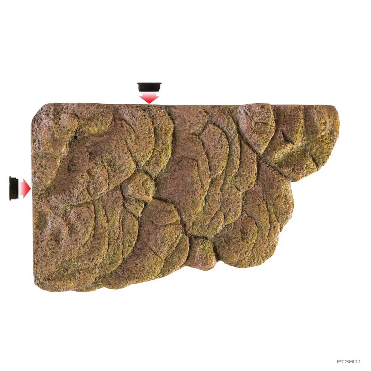 Turtle Bank Medium - Image 2